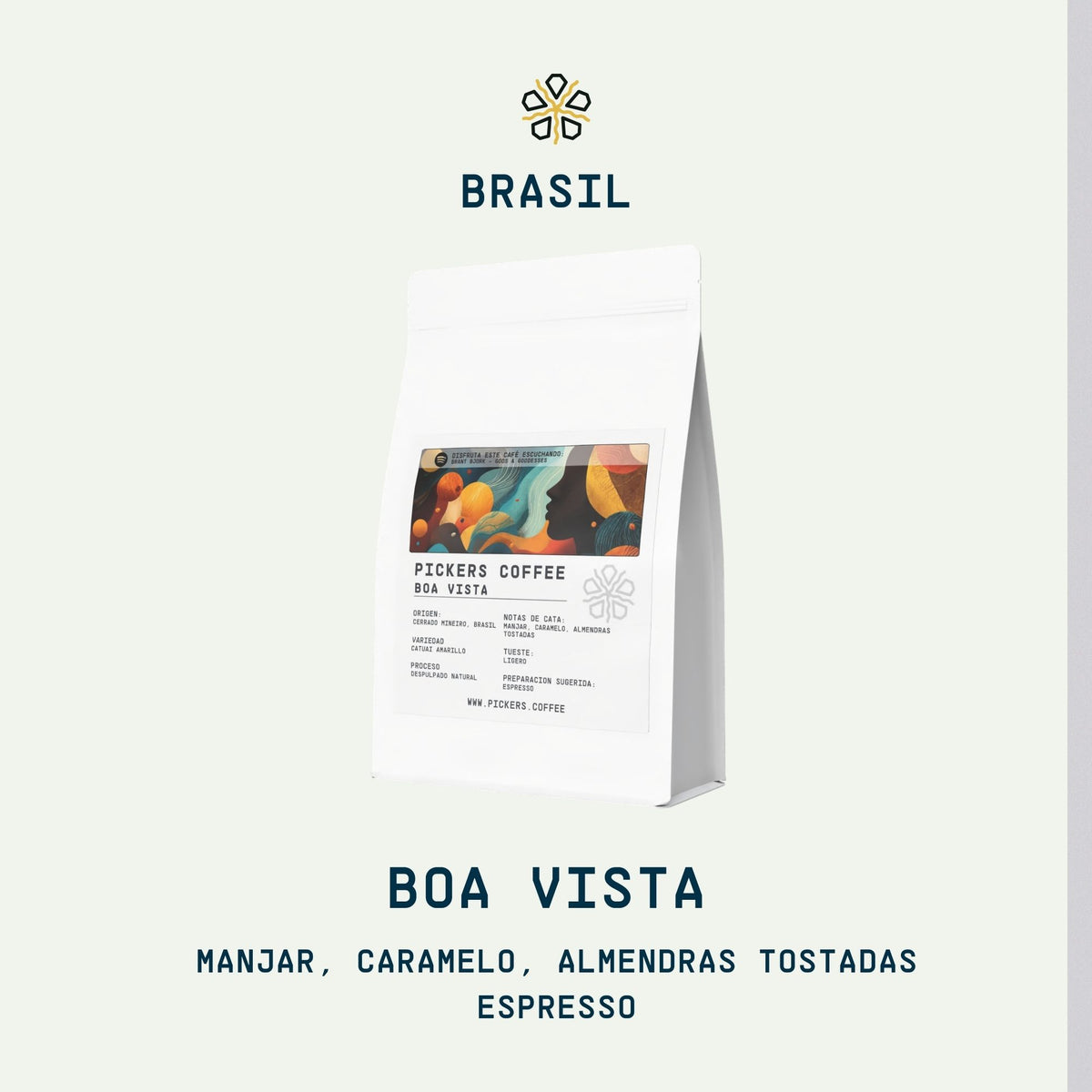 Boa Vista
