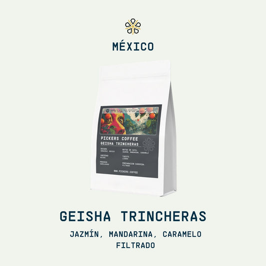 Gesha Trincheras